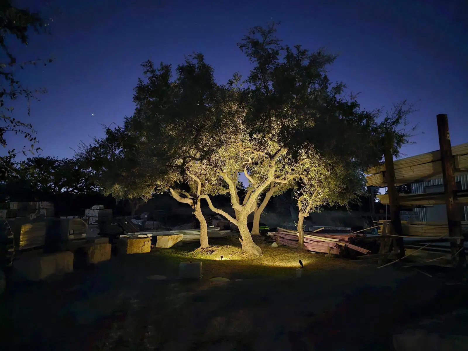 Landscape Lighting installation in Houston, Texas