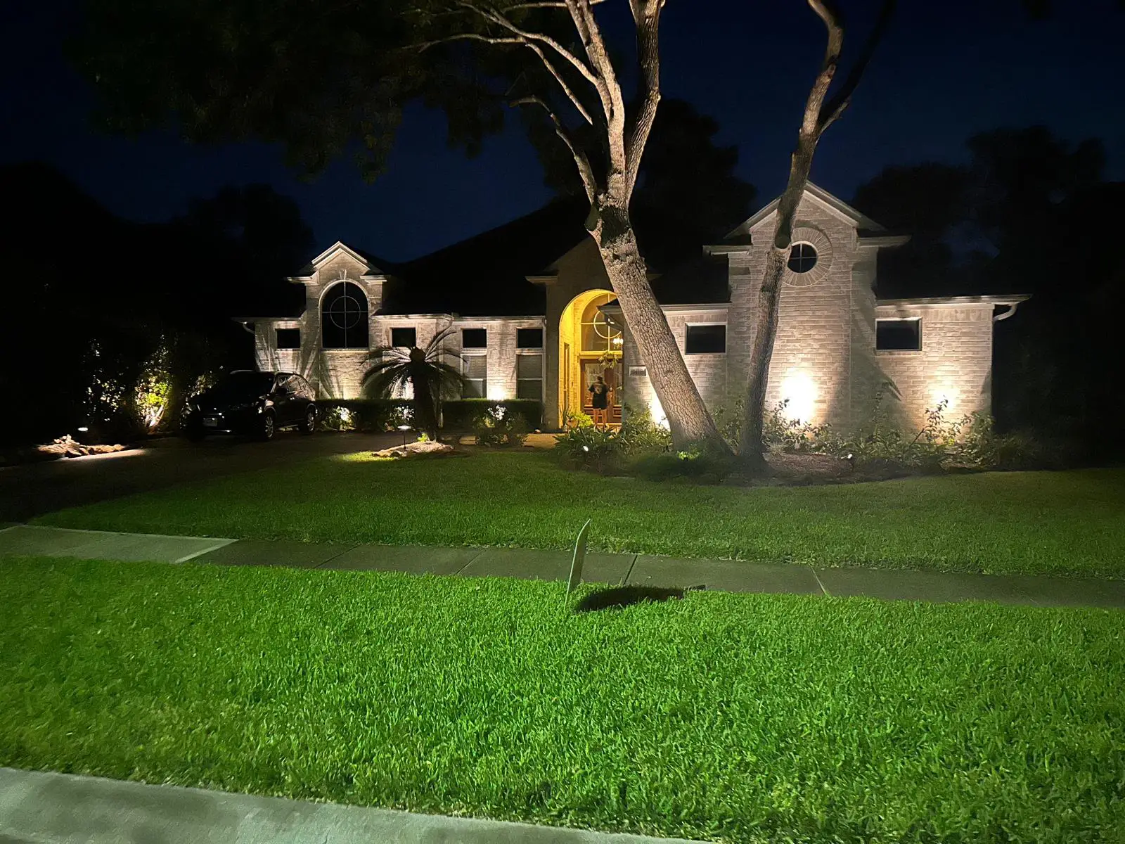 Landscape Lighting installation in Houston, Texas