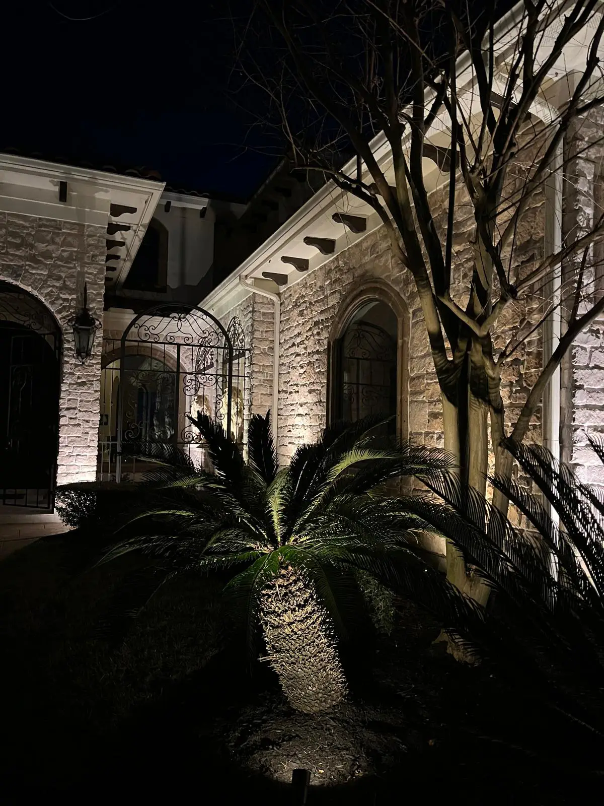 Landscape Lighting installation in Houston, Texas