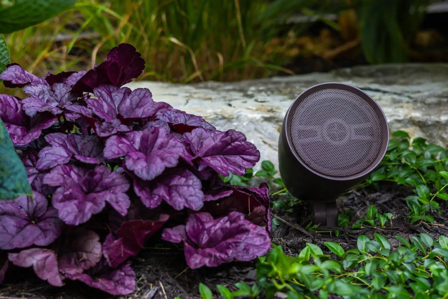 Landscape Lighting installation in Houston, Texas